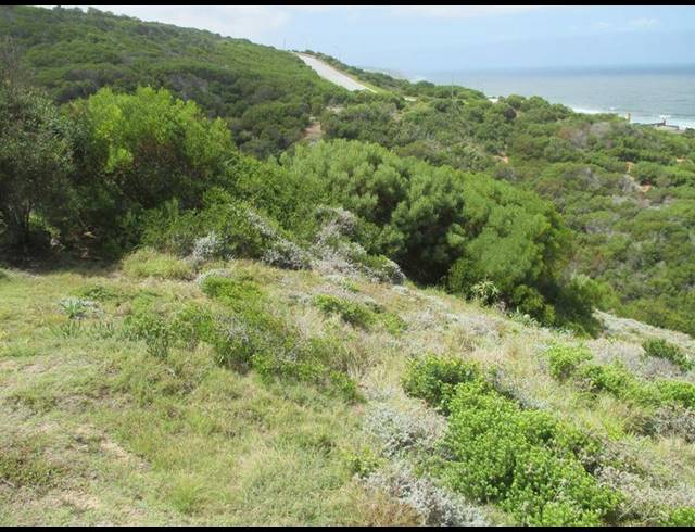 LAND FOR SALE IN DANA BAY